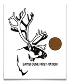 Sayisi Dene logo